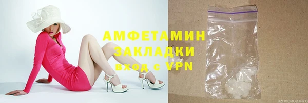 молекула духа Пестово