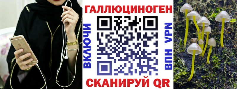 где купить наркоту  Заринск  Псилоцибиновые грибы Cubensis 